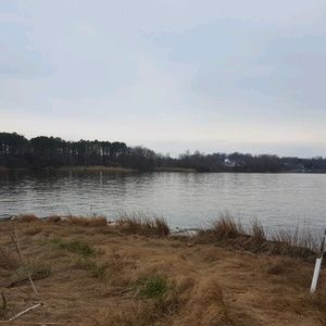 Meet your Posher, Calvin